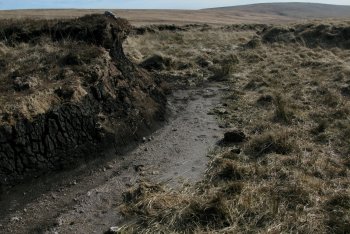 Black Ridge, Okehampton, Dartmoor National Park