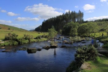 Bellever, Dartmoor National Park