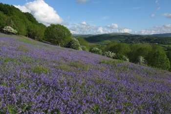 Easton, Dartmoor National Park