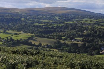 Great Weeke, Dartmoor National Park