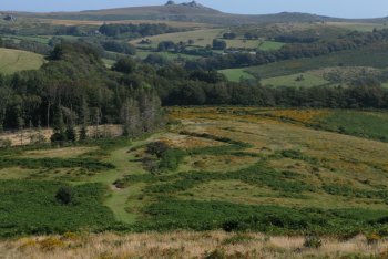 Heathercombe, Dartmoor National Park