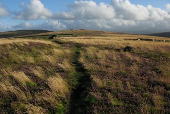 Lettaford, Dartmoor National Park