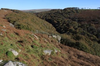 Shaugh Prior, Dartmoor National Park