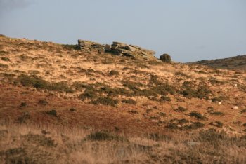 Scorhill Tor, Chagford, Dartmoor National Park