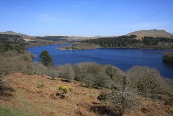 Dousland, Dartmoor National Park