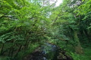 River Walkham, Dartmoor, Dartmoor National Park