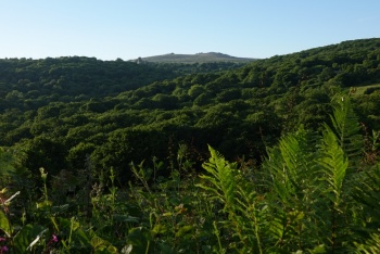 Walkham Valley, Merrivale, Dartmoor National Park