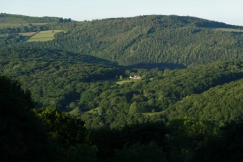 Ausewell Wood, Buckland in the Moor, Dartmoor National Park