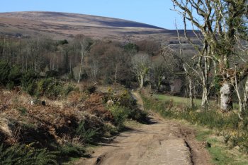 Gidleigh, Dartmoor National Park
