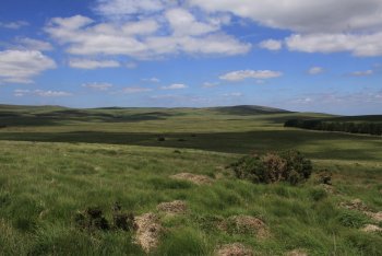Shovel Down Settlements and Field System, Chagford, Dartmoor National Park