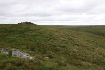 Higher Dunna Goat, Lydford, Dartmoor National Park