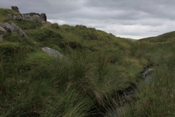 Rattle Brook, Lydford, Dartmoor National Park