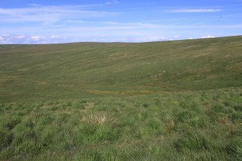 Black Hill (North Dartmoor), Okehampton, Dartmoor National Park