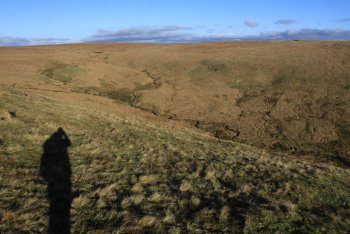 Cowsic Head, Princetown, Dartmoor National Park