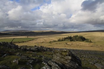 Sheepstor Brook Ford and Scout Hut Copse, Sheepstor, Dartmoor National Park
